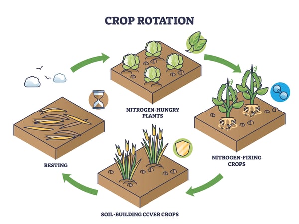 crop_rotation