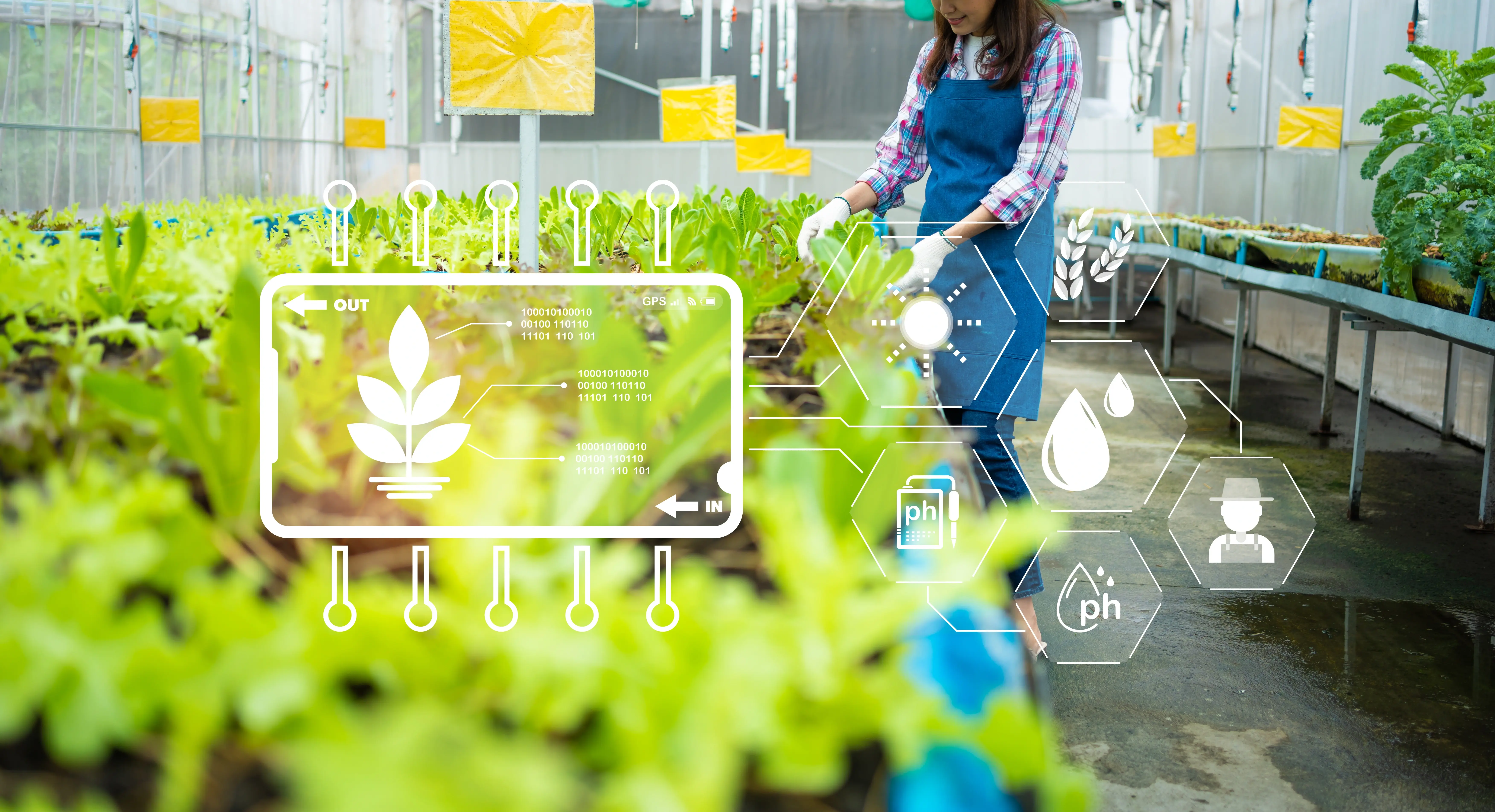 Sustainable Agriculture